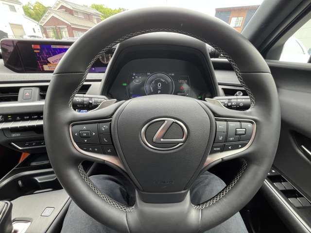 LEXUS UX300e