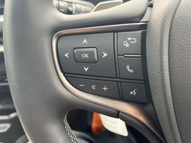 LEXUS UX300e