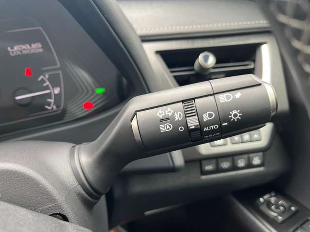 LEXUS UX300e