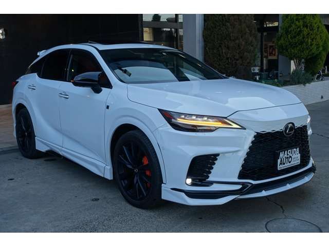 LEXUS RX500h