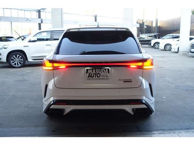 LEXUS RX500h