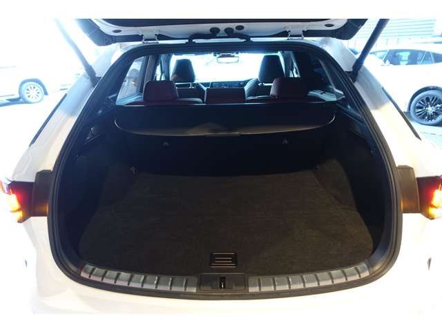 LEXUS RX500h