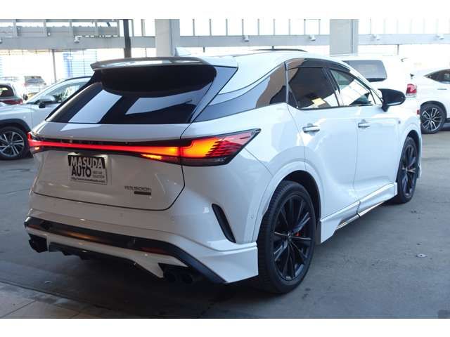LEXUS RX500h
