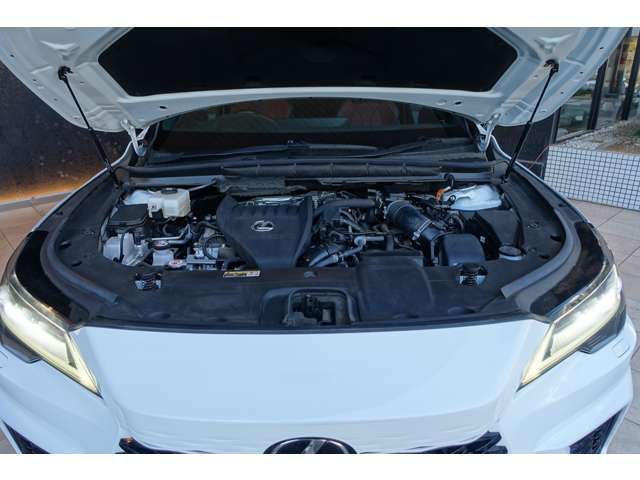 LEXUS RX500h