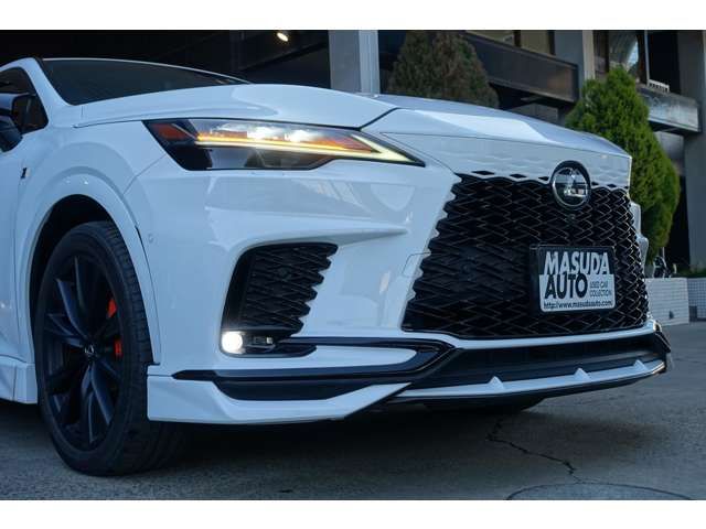 LEXUS RX500h