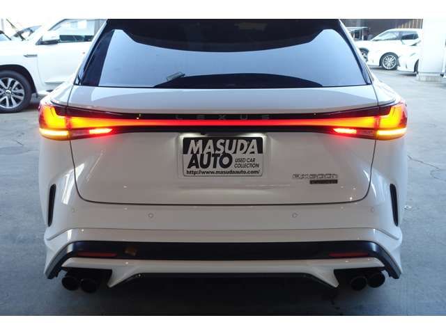 LEXUS RX500h