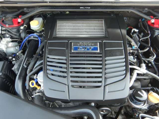 LEVORG