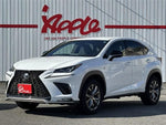 LEXUS NX300