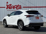 LEXUS NX300