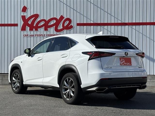 LEXUS NX300