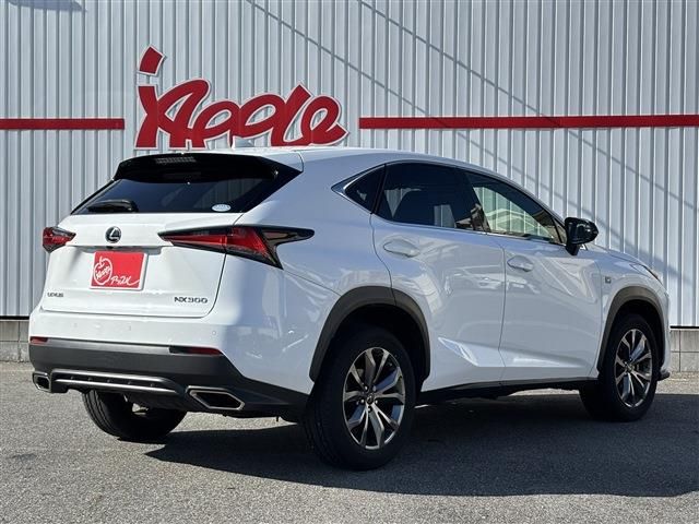 LEXUS NX300