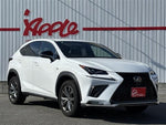 LEXUS NX300