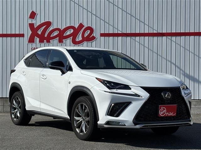 LEXUS NX300