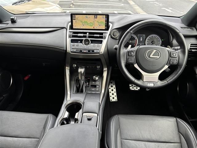 LEXUS NX300