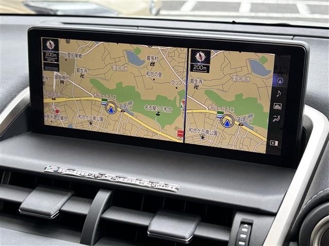 LEXUS NX300