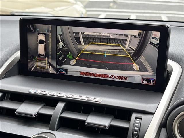 LEXUS NX300