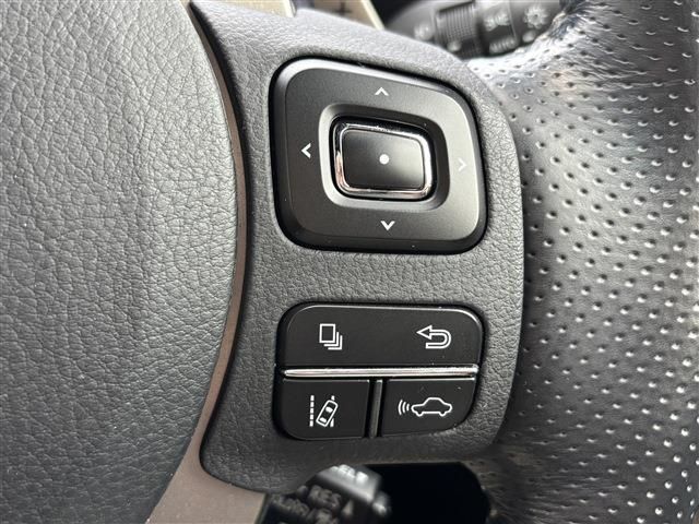 LEXUS NX300