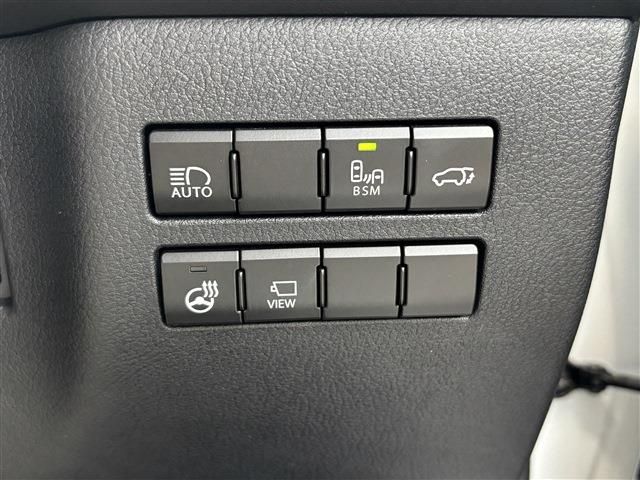 LEXUS NX300