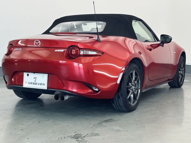 ROADSTER