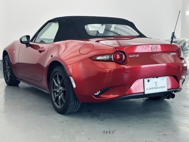 ROADSTER