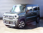 HUSTLER 4WD