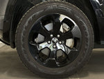 ROVER DEFENDER