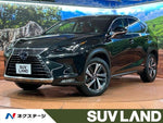 LEXUS NX300h