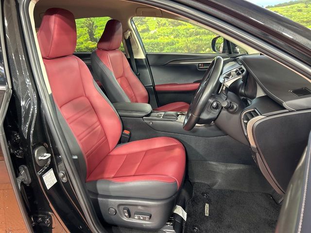LEXUS NX300h