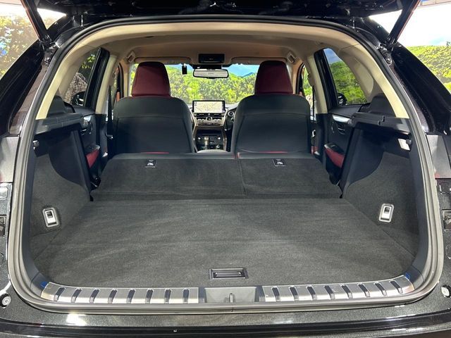 LEXUS NX300h