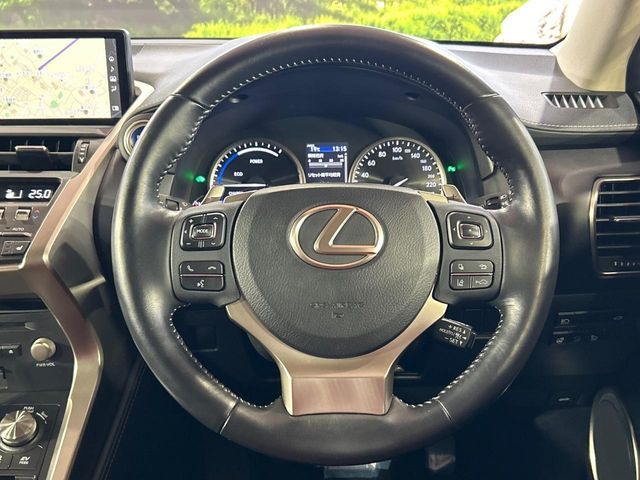 LEXUS NX300h