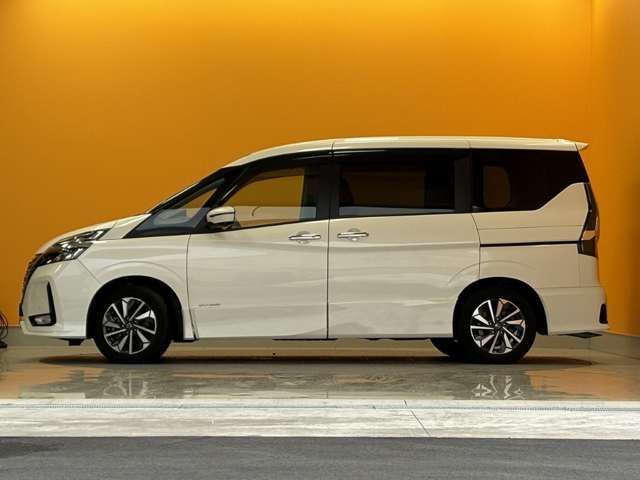 SERENA  S-HYBRID