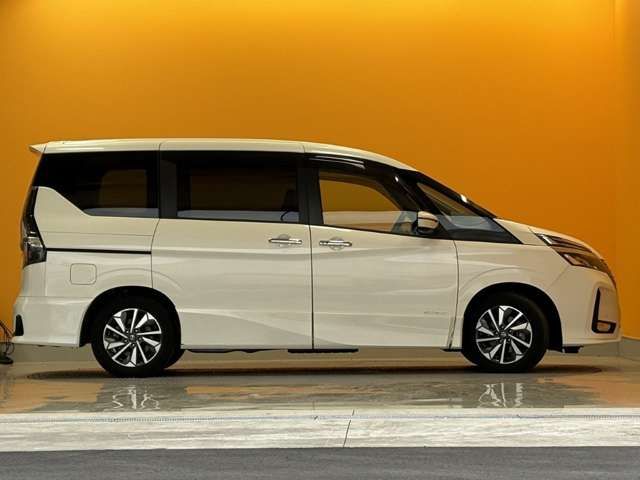 SERENA  S-HYBRID