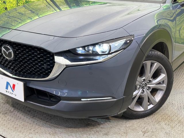 CX-30