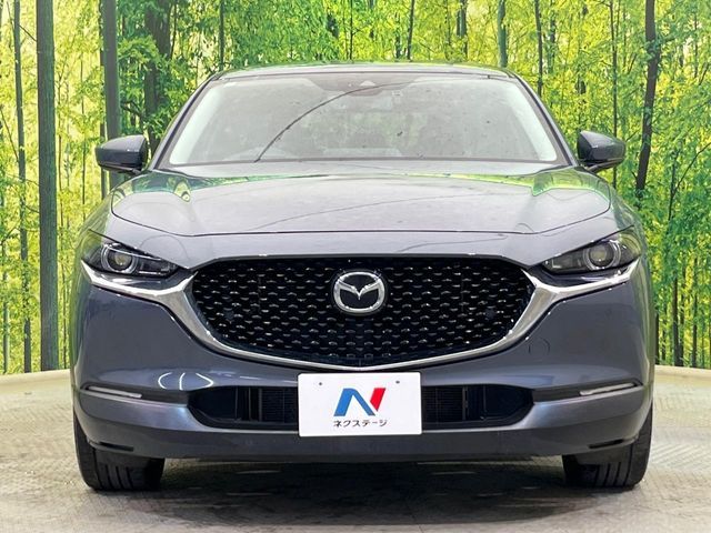 CX-30