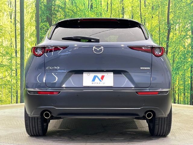 CX-30