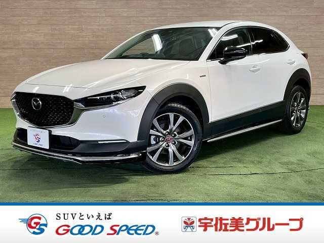 CX-30