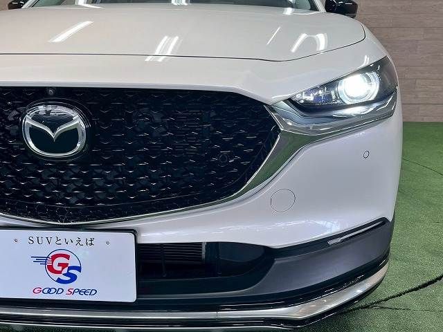 CX-30