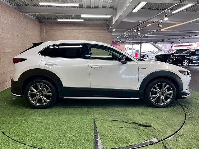 CX-30