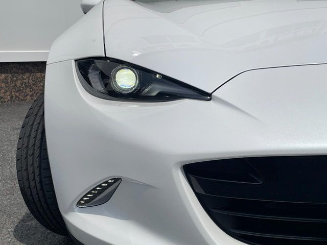 ROADSTER