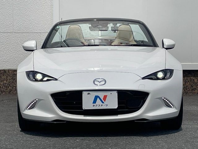 ROADSTER
