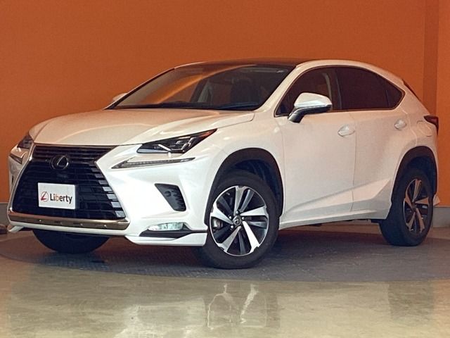 LEXUS NX300