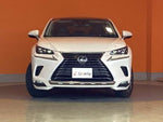 LEXUS NX300