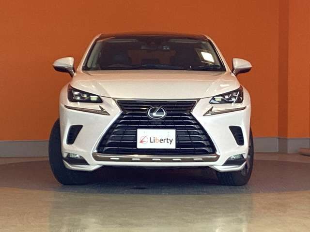 LEXUS NX300
