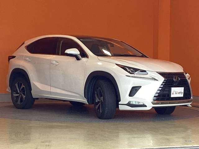 LEXUS NX300