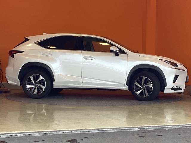 LEXUS NX300