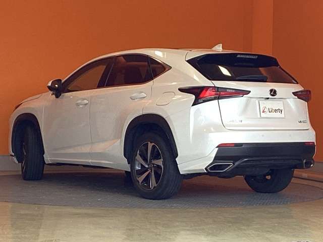 LEXUS NX300