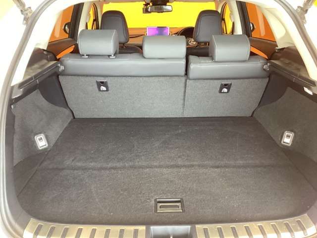 LEXUS NX300