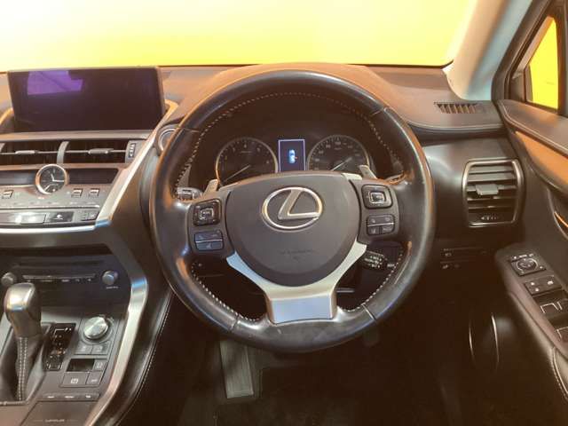 LEXUS NX300