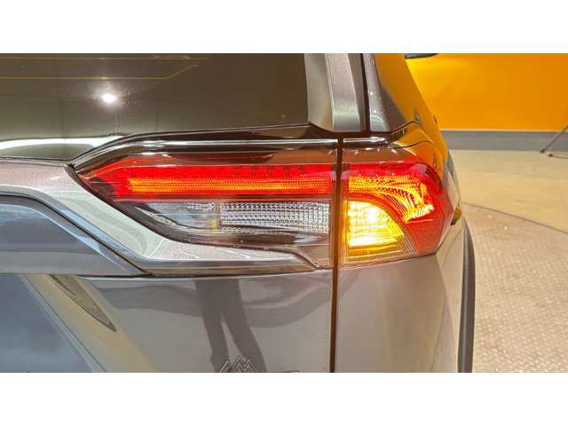 RAV4 HYBRID 4WD