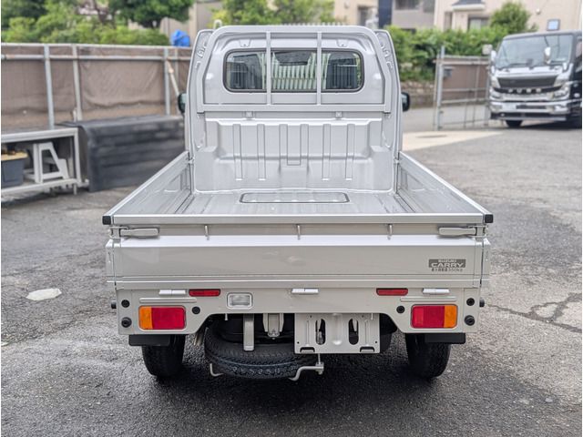 CARRY truck
